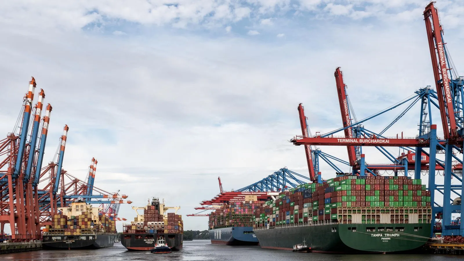 Large container ships moored under the red and blue gantry cranes of a container terminal in the port of Hamburg